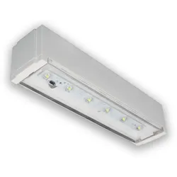 RP-Technik Sicherheitsleuchte PXDL029ML