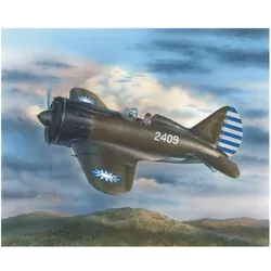 Special Hobby Polikarpov I-16 Chinese & Japanese Mark.