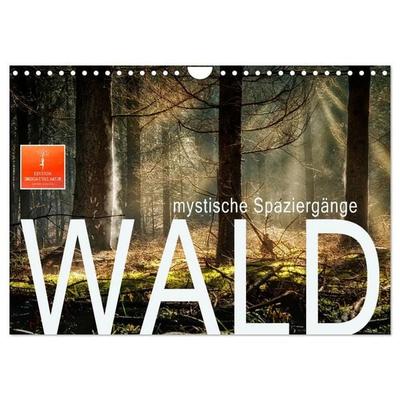 Wald - mystische Spaziergänge (Wandkalender 2027 DIN A4 quer), CALVENDO Monatskalender