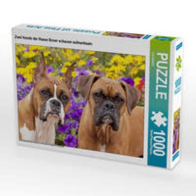 CALVENDO Puzzle Zwei Hunde der Rasse Boxer schauen aufmerksam. 1000 Teile Lege-Größe 64 x 48 cm Foto-Puzzle Bild von CALVENDO