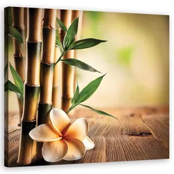WANDBILD bambus zen blumen