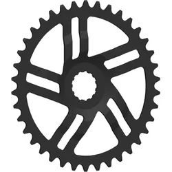 Esjot Kettenblatt 38 Zähne Direct Mount schwarz