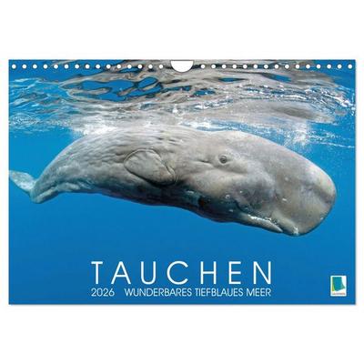 Tauchen: Wunderbares tiefblaues Meer (Wandkalender 2026 DIN A4 quer), CALVENDO Monatskalender