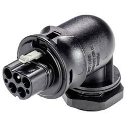 Wieland Electric 96.044.6253.1 Geräteanschluss