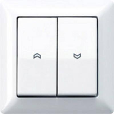 Jung Abdeckung Symbole aws AS 590-5 P WW