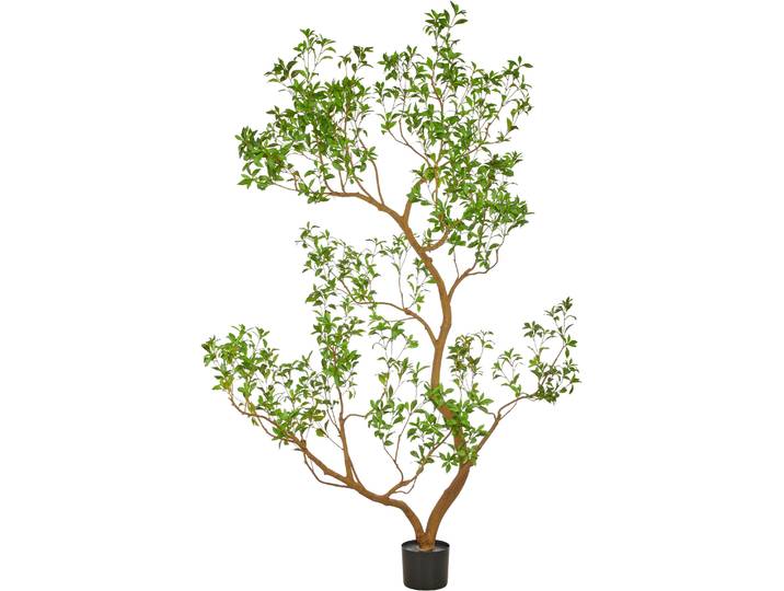 Kunstbaum CREATIV GREEN Pieris japonica , grün, H:300cm, Obermaterial: 100% Kunststoff, Kunstpflanzen, Kunstbaum, in beeindruckender Größe