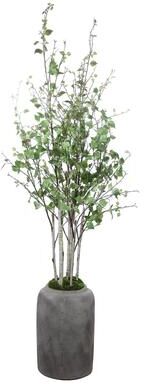 Uttermost Aldis Potted River Birch