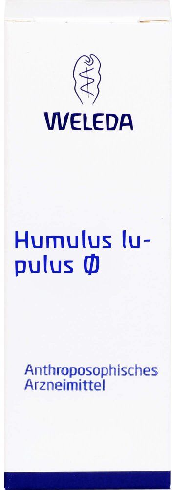 Humulus Lupulus Urtinktur
