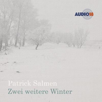 Zwei weitere Winter - Patrick Salmen, Audio, 4066004313061