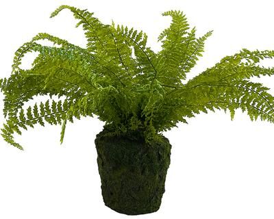 Melrose International "Fern Plant with Mossy Base 27""H"