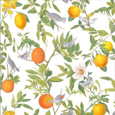 Graham & Brown Amalfi White Wallpaper