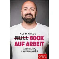 (Null) Bock auf Arbeit, Ratgeber von Ali Mahlodji