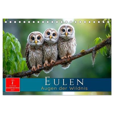 Eulen - Augen der Wildnis (Tischkalender 2027 DIN A5 quer), CALVENDO Monatskalender