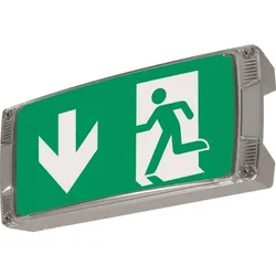 Ceag Notlichtsysteme Sicherheitsleuchte AtlanticLEDIILTSCG-S