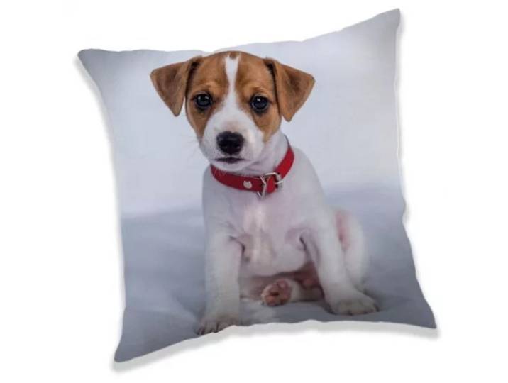 Hond sierkussen 40X40 cm
