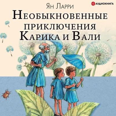 The Extraordinary Adventures of Karik and Vali - Yan Larri, Audio, 9785171242794