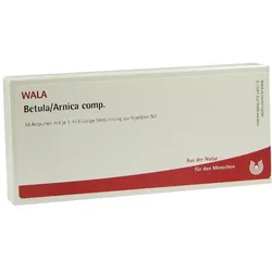 Betula/arnica Comp.ampullen 10X1 ml