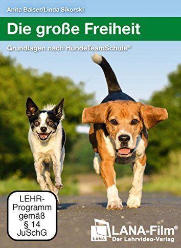 Die große Freiheit: Grundlagen nach HundeTeamSchule® - Preis vom 10.10.2026 11:48:34 h