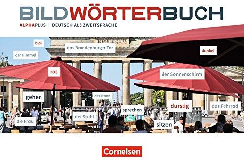 Anita Grunwald - Alpha plus - Basiskurs Alphabetisierung: A1 - Bildwörterbuch für erwachsene Lernende - Preis vom 10.10.2026 11:48:34 h