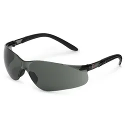 Schutzbrille "9011" Vision Protect getönt