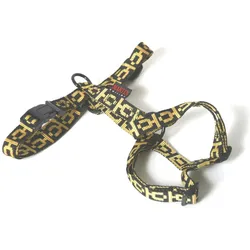 Martin Sellier Santa (L, Hund, Allgemein, Spazieren), Halsband + Leine