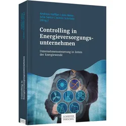 Controlling in Energieversorgungsunternehmen, Fachbücher von Andreas Hoffjan, Achim Schröder, Jens Meier, Julia Sartor