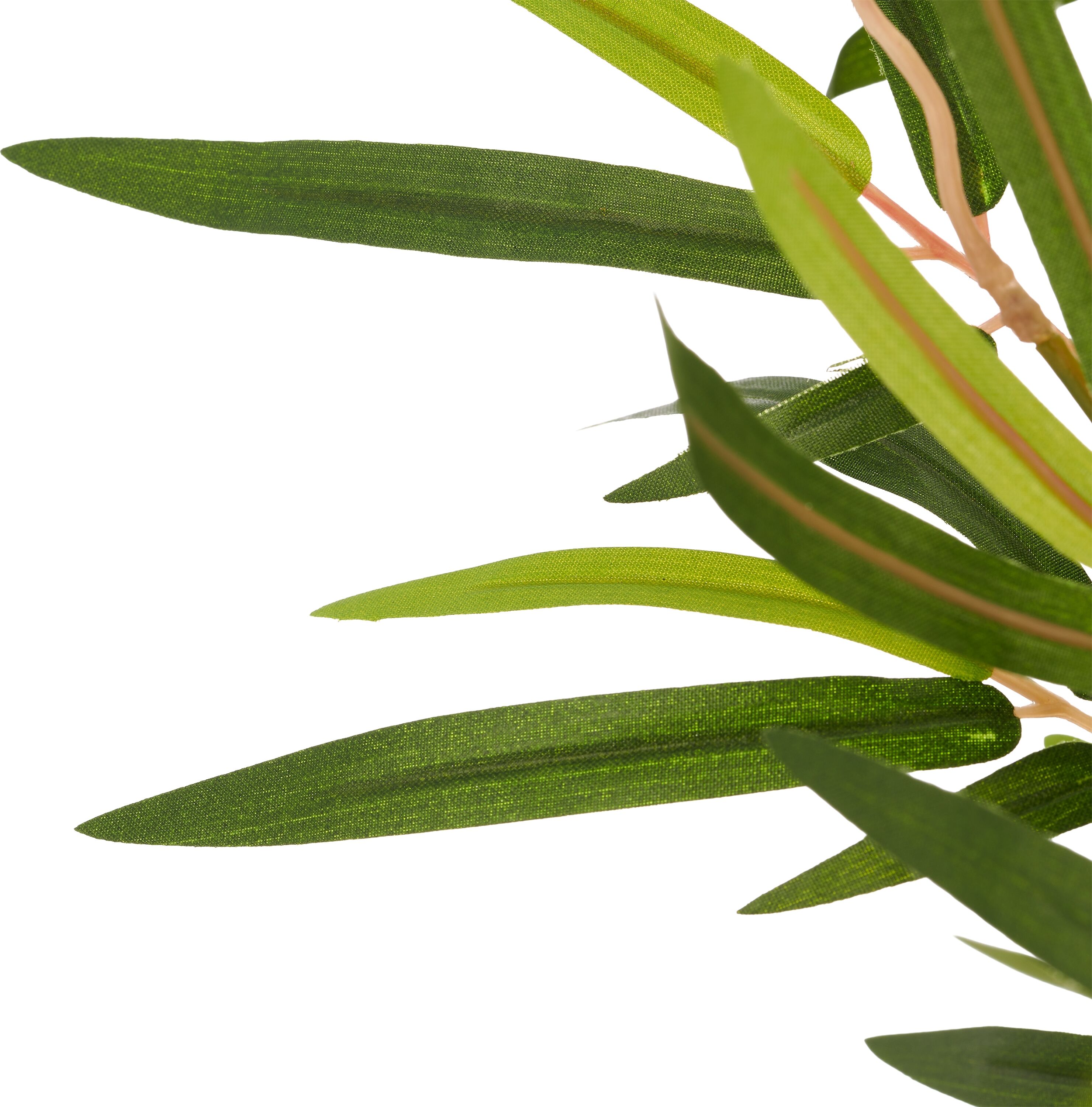 Kunstbambus CREATIV GREEN "Bambus fargesia", grün, H:170cm, Obermaterial: 75% Polyester, 25% Kunststoff, Kunstpflanzen, Kunstbambus, mit naturgetreuem Blattwerk