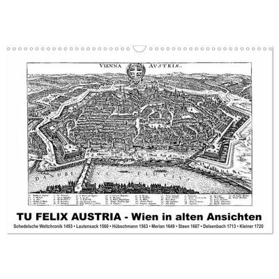 TU FELIX AUSTRIA - Wien in alten Ansichten (Wandkalender 2026 DIN A3 quer), CALVENDO Monatskalender