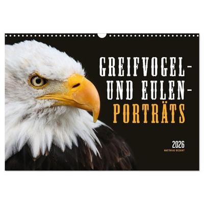 GREIFVOGEL- UND EULENPORTRÄTS (Wandkalender 2026 DIN A3 quer), CALVENDO Monatskalender