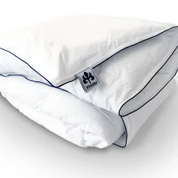 Badenia »Irisette Luxus« Kassetten Daunendecken 155x220 cm 910g 4x6 90/10