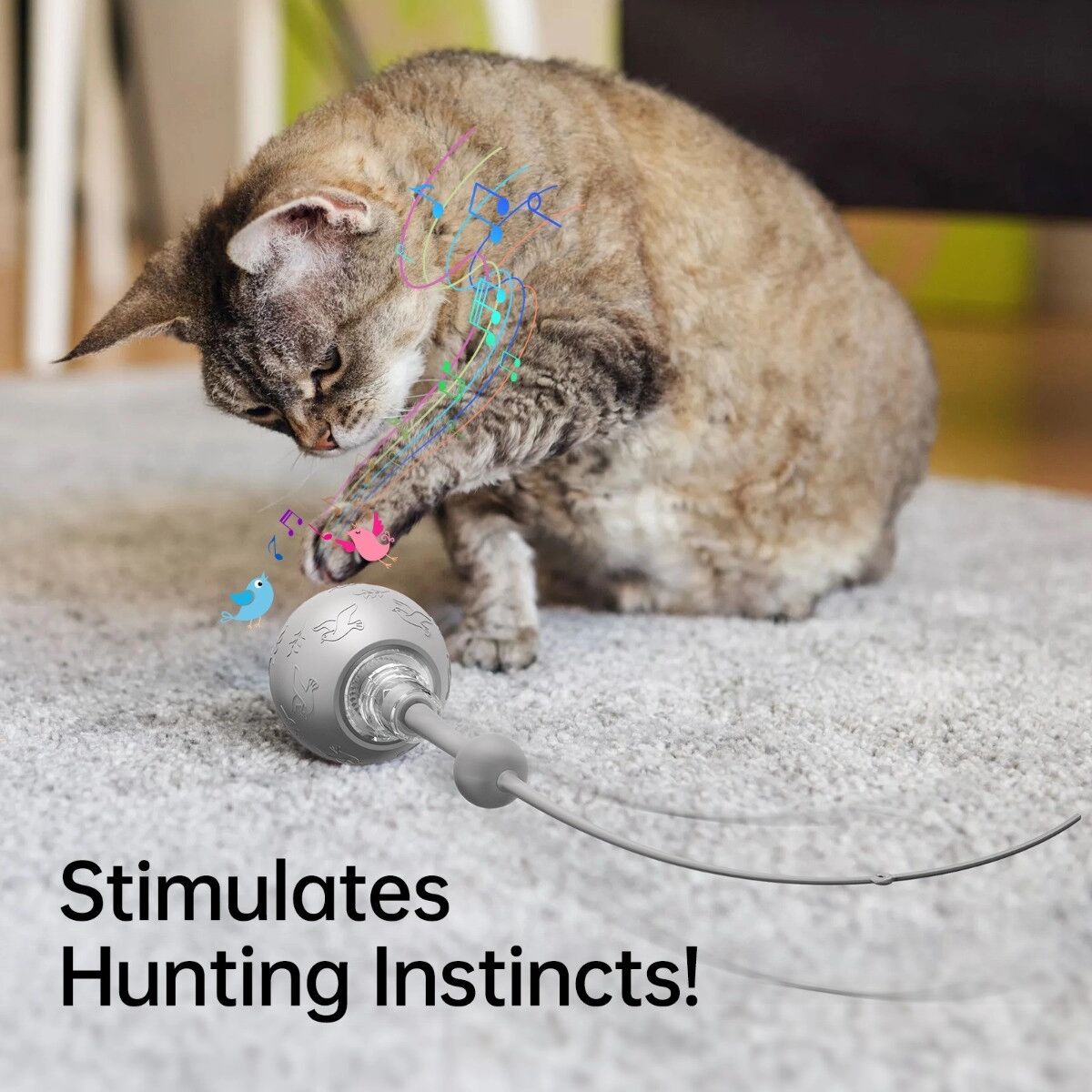 INF Balle intelligente interactive pour chien avec réveil automatique, charge Type-C et autonomie de 60 minutes Gris