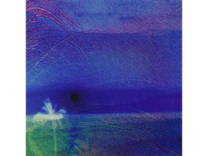 Flying Saucer Attack/Roy Montgomery - Good