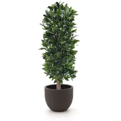 Designplants/Luca Lifestyle Lorbeer Säule Kunstpflanze (h:125 cm) mit Terreno New Egg Blumentopf