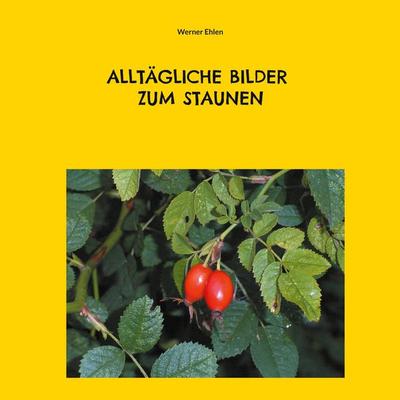 Alltägliche Bilder zum Staunen, Taschenbuch von Werner Ehlen, BoD – Books on Demand, 978-3-7543-2739-5