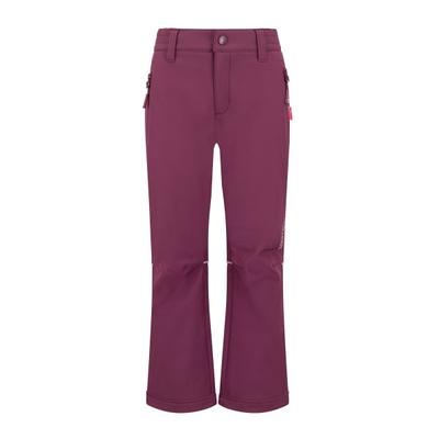 Trollkids - Kid's Fjell Softshell Pant - Softshellhose Gr 164 lila