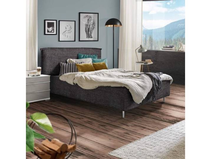 Polsterbett Bustan Komfort Velours 140x200 cm Dunkelgrau modern