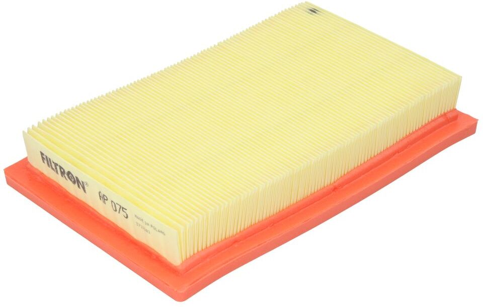 Filtron Filtro aria AP 075