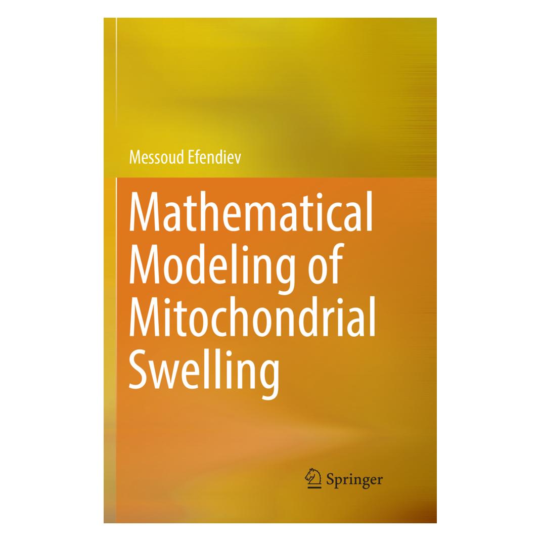 Springer Mathematical Modeling of Mitochondrial Swelling (Englisch, Softcover, Messoud Efendiev) (56124720)
