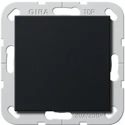 Gira Wippschalter 2836005