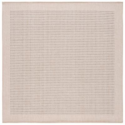 SAFAVIEH Sisal Performance Stynke Casual Rug