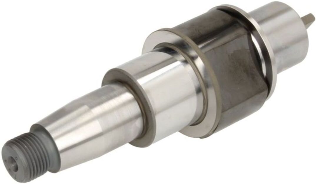 Element, Common-Rail Pumpe BOSCH F 00N 202 666