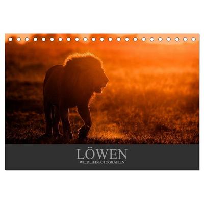 Löwen Wildlife-Fotografien (Tischkalender 2026 DIN A5 quer), CALVENDO Monatskalender
