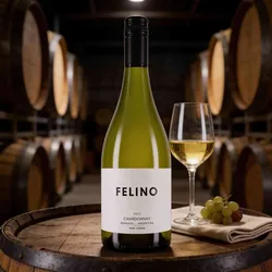 Vina Cobos 2023 Vina Cobos Felino Chardonnay 2023 Chardonnay Argentinien