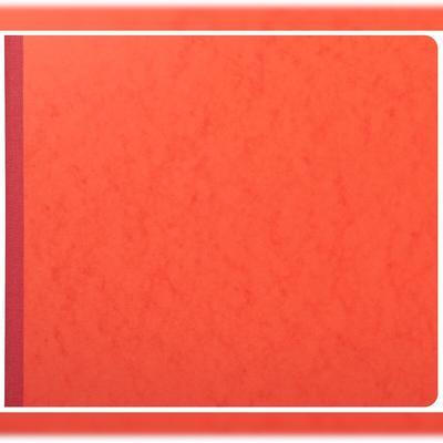 Exacompta 16130E Geschaeftsbuch 27x32 80S - 13 Spalten - Farben sortiert