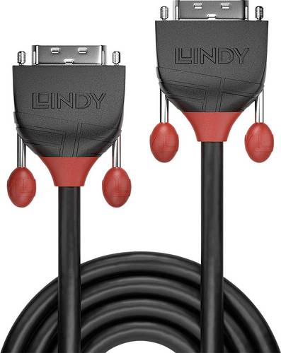 LINDY DVI Anschlusskabel DVI-D 18+1pol. Stecker, DVI-D 18+1pol. Stecker 2.00 m Schwarz 36256 DVI-Kabel