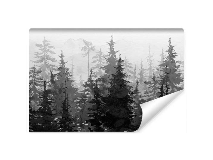 Muralo Fototapete Schwarz-Weiß Wald Bäume Natur 300x210cm, Schwarz, Weiß, Grau, Papier, Baum/Pflanze/Natur, Rechteckig, 300x210 cm, Tapeten & Wandverkleidungen, Fototapeten