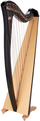 Salvi Gaia 38 Ebony Ebène