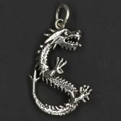 Drachensilber Drache Schmuck Anhänger aus Silber Knochen Drache - Silber