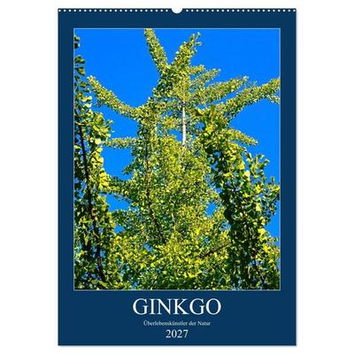 Ginkgo (Wandkalender 2027 DIN A2 hoch), CALVENDO Monatskalender