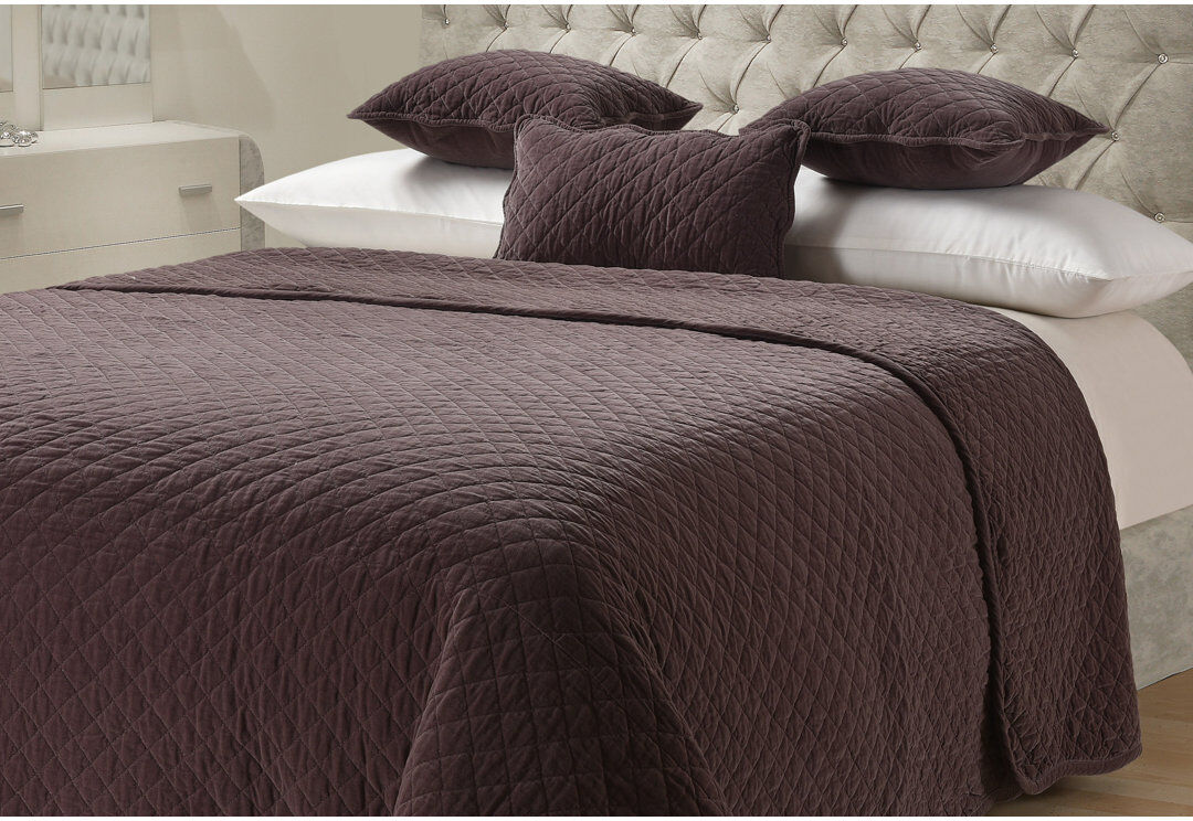 17 Stories Moriani Premium Cotton Velvet Luxury Heavyweight Throw Mink W150cm x L200